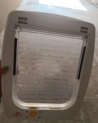 porticina cani o gatti