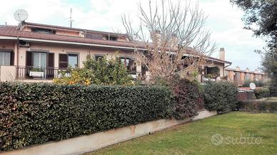 Stanza ampia e luminosa terrazzo e bagno privato