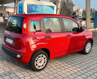 Panda 1.2 benzina 4 cilindri