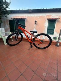 bicicletta 