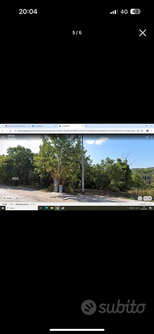 Terreno con piante di ulivo secolari edificabile - Altro