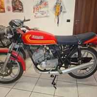 Benelli 2C 125