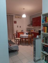 Splendido luminoso comodo bivanbi arredato