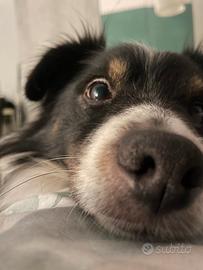 Monolocale/appartamento in condivisione