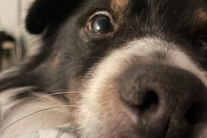 Monolocale/appartamento in condivisione