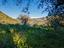 Immagine 19
