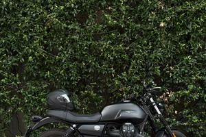 MOTO GUZZI V7 STONE 850 (2022)