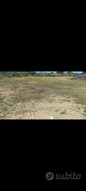 Lotto di terreno agricolo pianeggiante