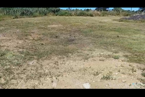 Lotto di terreno agricolo pianeggiante