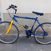 visibili a Empoli su appuntamento