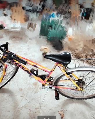 bici ragazza donna r 26 Cambio 18 rapporti