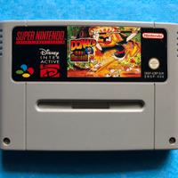 Maui mallard in Cold Shadow