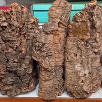 Sughero 4 pezzi grandi