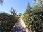 Immagine 27