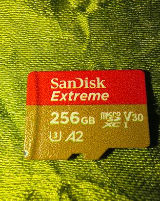 sandisk extreme sd 256gb con garanzia a vita