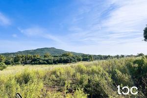 Terreno edificabile a due minuti dal Golfo di Mari