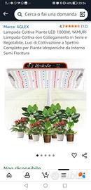 kit Illuminazione per coltivazione 