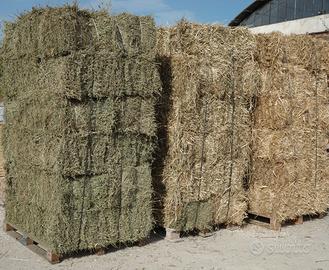 Ballette foraggi per cavalli