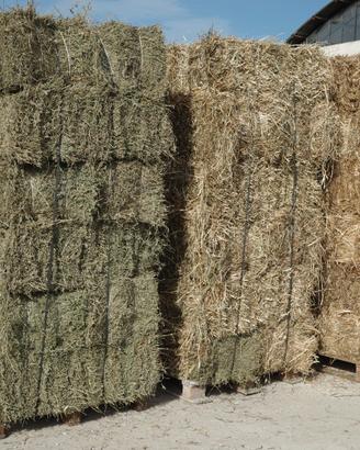 Ballette foraggi per cavalli
