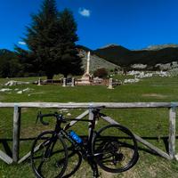 Pinarello x1