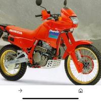 Honda dominator 650