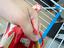 Immagine 6