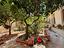 Immagine 23