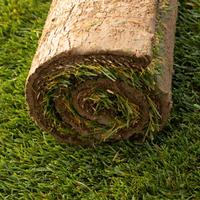 Prato | Erba a rotoli  Lecce | Taranto | Brindisi