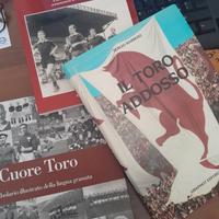 La storia del Toro