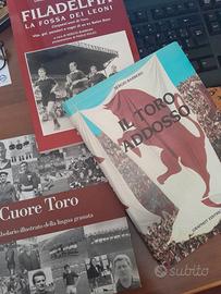 La storia del Toro