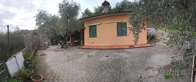 Vendita rimessa agricola con oliveto