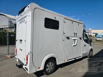 Van trasporto 2 cavalli Renault Master 180 DCI