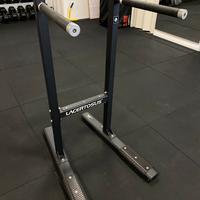 Dip Station Lacertosus PRO