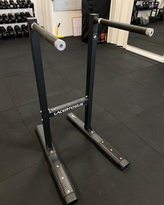 Dip Station Lacertosus PRO