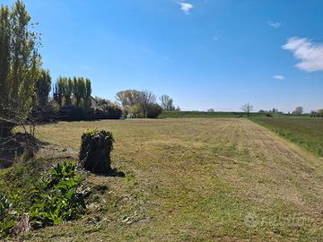 Campo ad uso agricolo