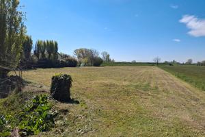 Campo ad uso agricolo