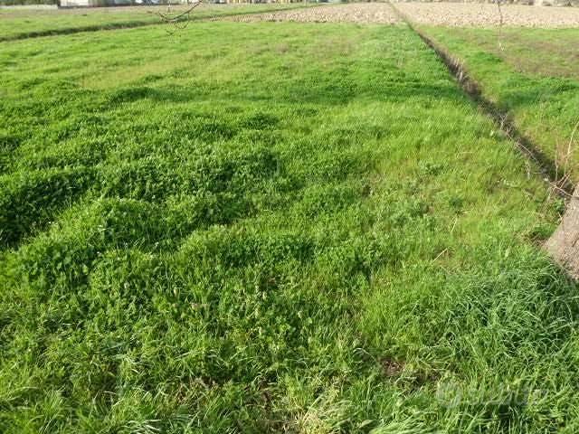 Terreno di 750 m² a Porcari - Vista 3