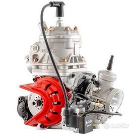 Motore Vortex ROK SVR 125 kart