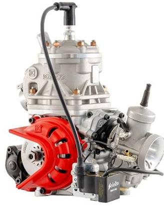 Motore Vortex ROK SVR 125 kart