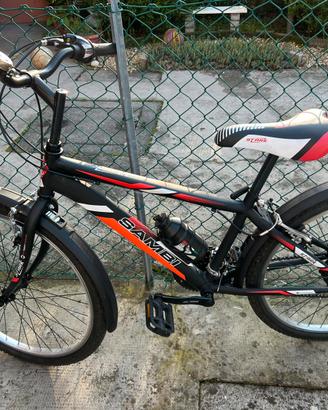 Bicicletta
