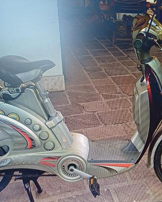 bicicletta elettrica con bauletto