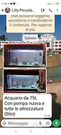 acquario 