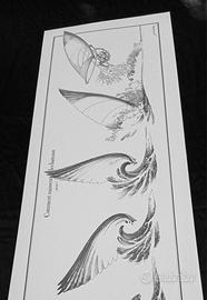 Poster 100 cm vintage Windsurf Jean-Olivier Héron 