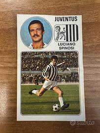 Figurina panini Spinosi juventus 1976-77