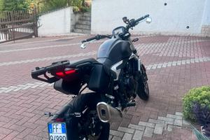 Voge trofeo 500ac
