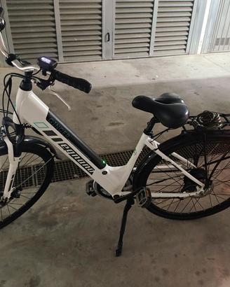 Bici Elettrica 