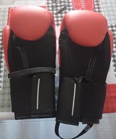 guantoni boxe e full contact 