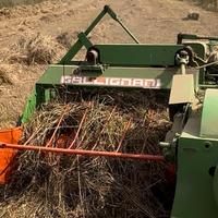 Forca letame e gallignani