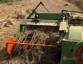 Forca letame e gallignani