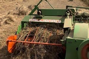 Forca letame e gallignani